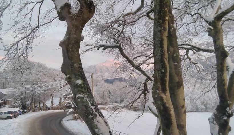 수피리어 룸 산전망, Link House