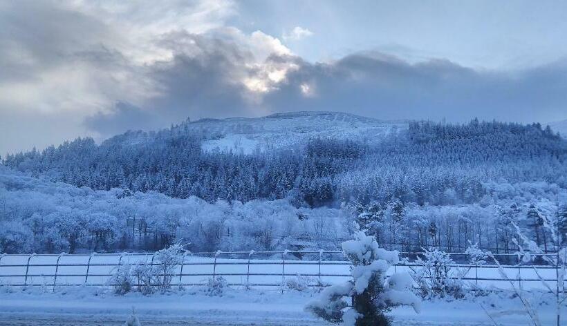 수피리어 룸 산전망, Link House