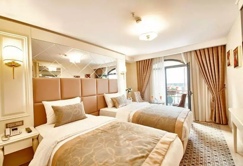 デラックスルーム, Beethoven Hotel   Special Category