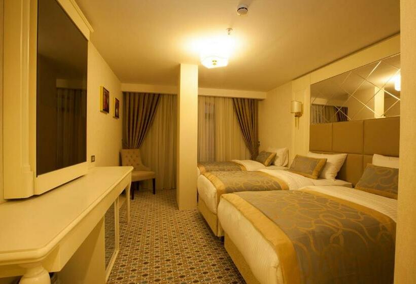 غرفة قياسية ثلاثية, Beethoven Hotel   Special Category