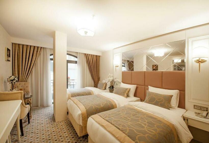 غرفة قياسية ثلاثية, Beethoven Hotel   Special Category