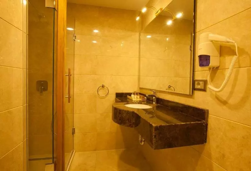 デラックスルーム, Beethoven Hotel   Special Category