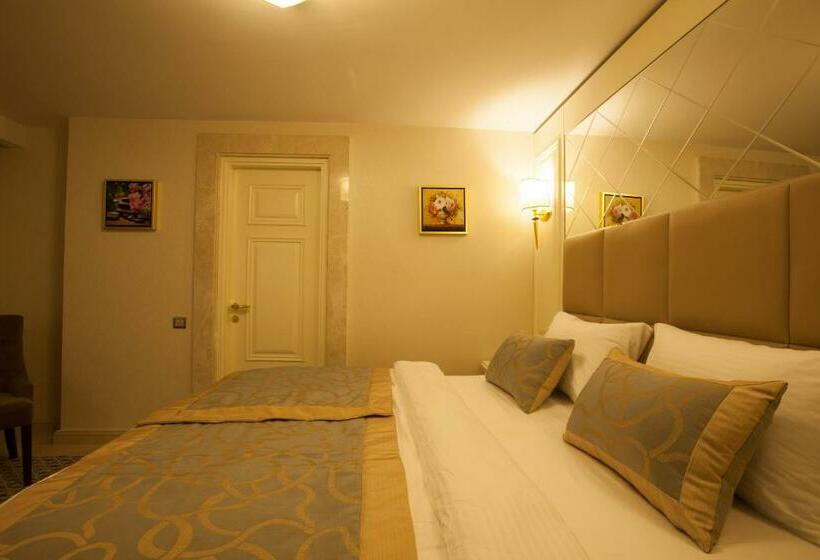 غرفة قياسية, Beethoven Hotel   Special Category