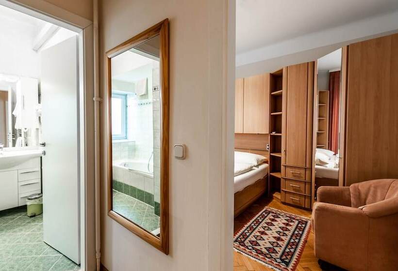آپارتمان 1 خوابه, Central Apartments Vienna