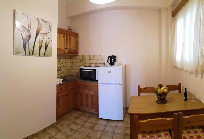 带1个卧室的公寓, Elli Marina Studios And Apartments