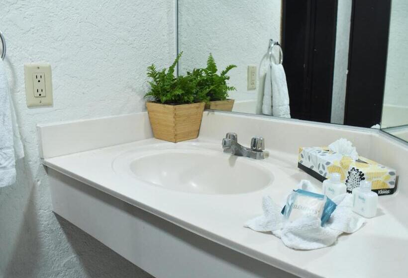 סוויטת ג'וניור נוף לעיר, Corona Plaza