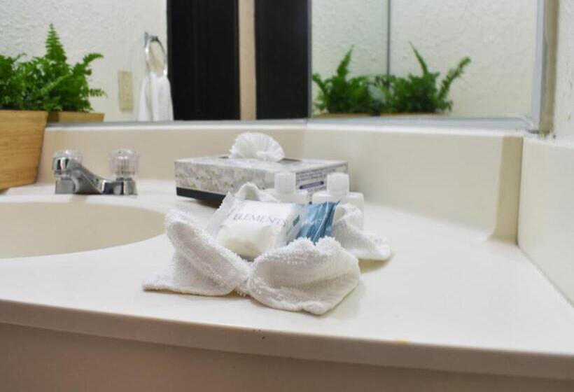 סוויטה נוף לים, Corona Plaza