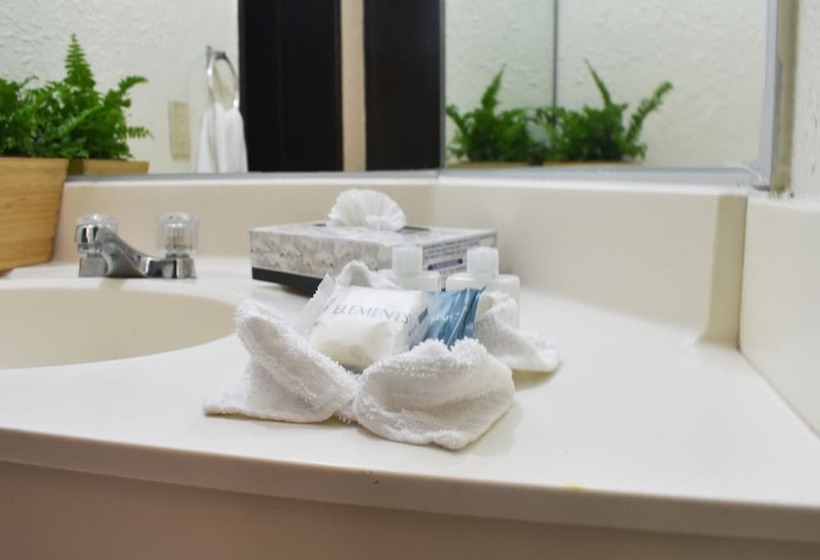 סוויטה נוף לים, Corona Plaza