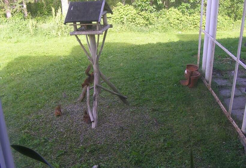 חדר סטנדרד יחיד חדר אמבטיה משותף, Fredrika Hotell Jakt&fiskecamp