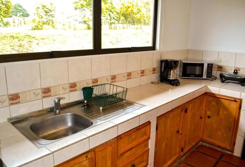 بنجلو قياسى, Termales Del Bosque & Hot Springs