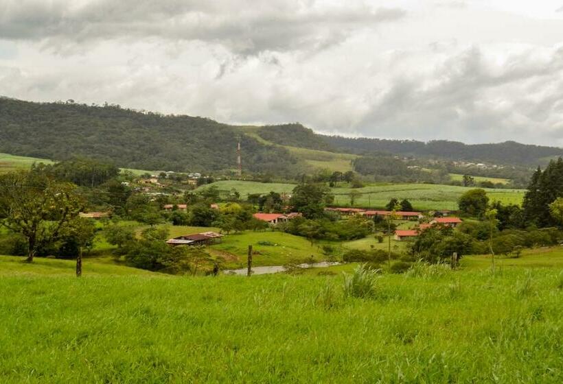 غرفة قياسية, Termales Del Bosque & Hot Springs
