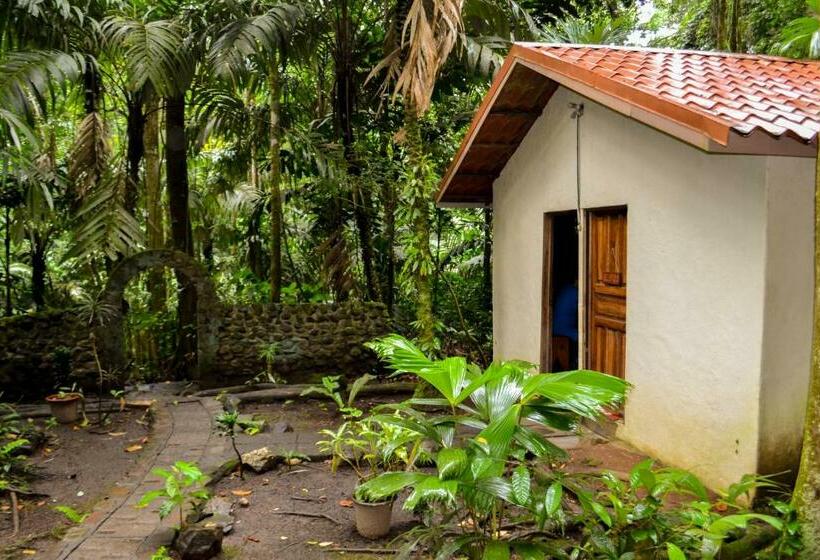 غرفة قياسية, Termales Del Bosque & Hot Springs