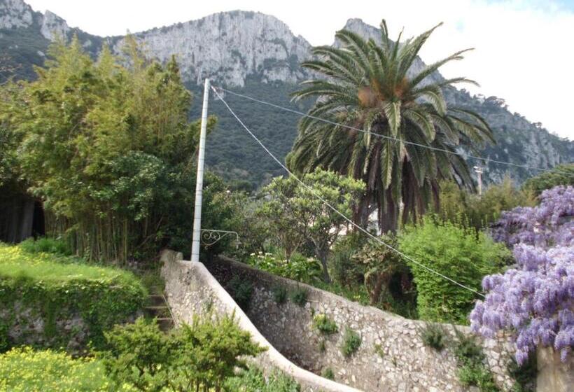 Номер Стандарт Вид на Город, Capri Inn