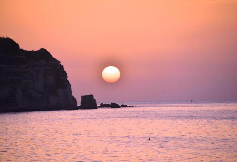 חדר סטנדרט, Casa Franz