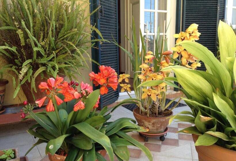 חדר סטנדרט, Casa Franz