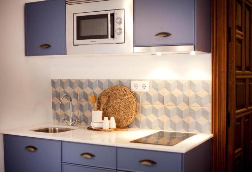 آپارتمان 1 خوابه, Apartamentos Casa Del Aceite