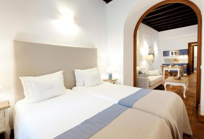 آپارتمان 1 خوابه, Apartamentos Casa Del Aceite