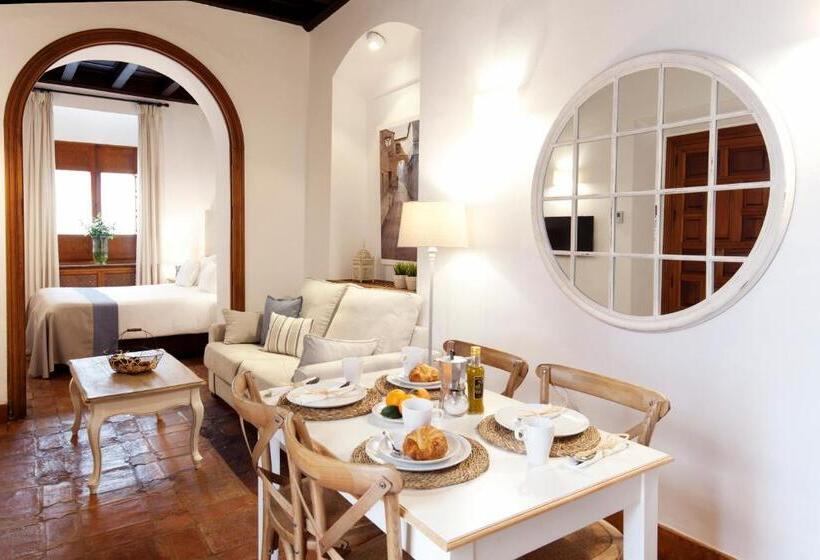 آپارتمان 1 خوابه, Apartamentos Casa Del Aceite