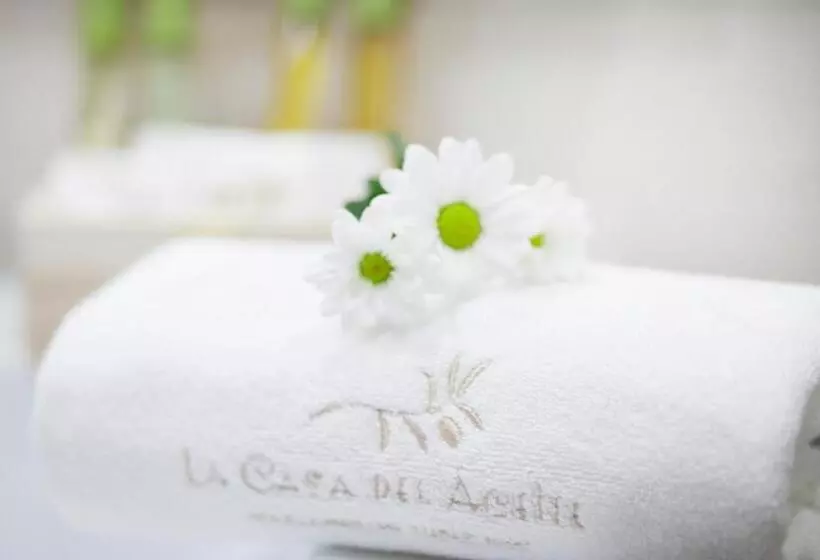 استودیوی استاندارد, Apartamentos Casa Del Aceite