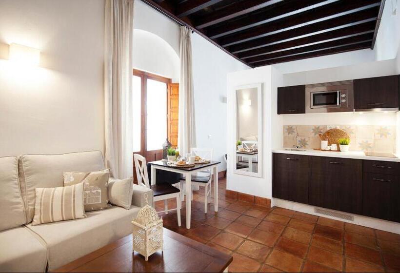 استودیوی استاندارد, Apartamentos Casa Del Aceite