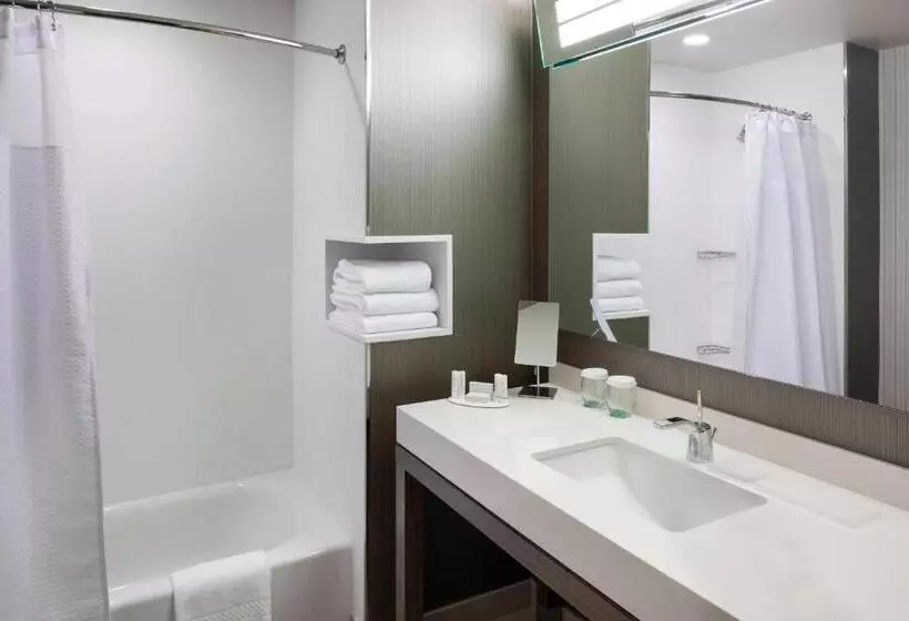 身障者適用スタンダードルーム, Courtyard By Marriott Fort Worth Alliance Town Center