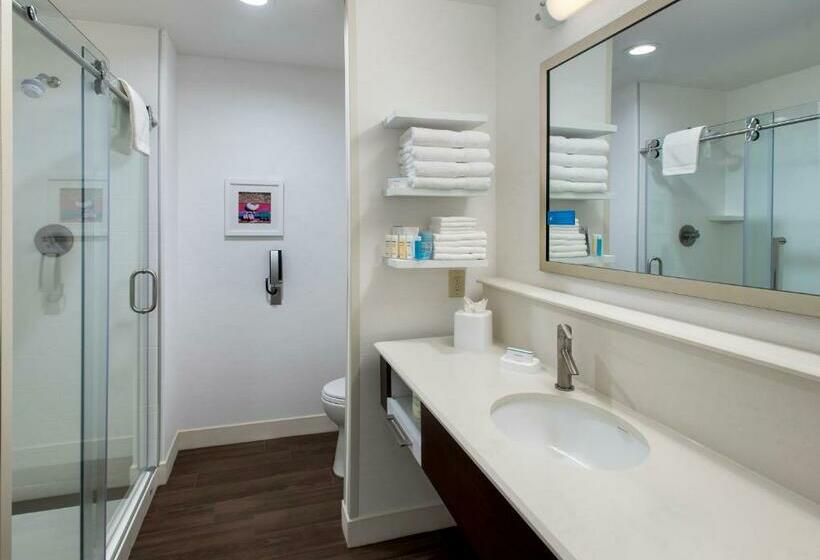 غرفة قياسية سرير كينج لذوى الإحتياجات الخاصة, Hampton Inn By Hilton New Paltz