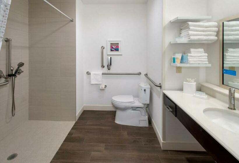 غرفة قياسية سرير كينج لذوى الإحتياجات الخاصة, Hampton Inn By Hilton New Paltz