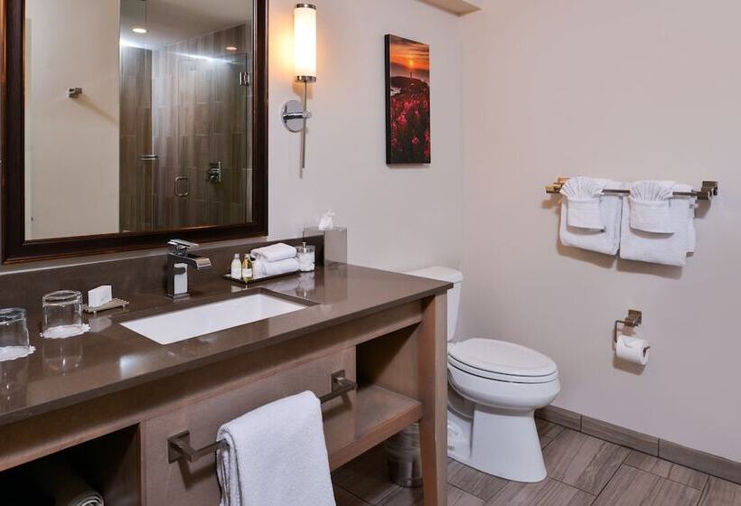 إستوديو ديلوكس, Inn At Nye Beach