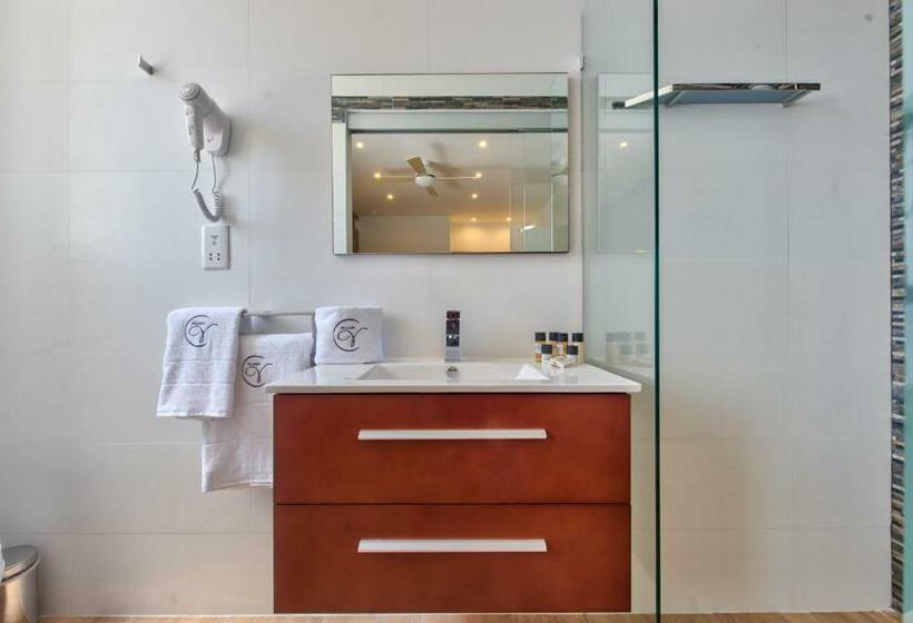 استودیوی استاندارد, Palazzo Violetta