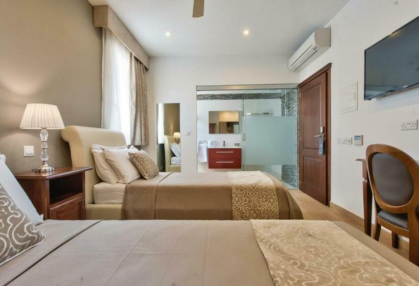 استودیوی استاندارد, Palazzo Violetta