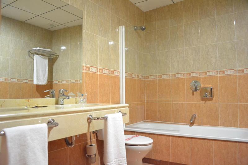 スタンダードルーム, & Spa Plaza Arriate