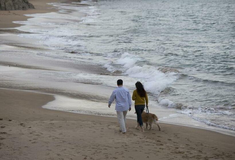 キングサイズベッドのデラックススイート, The Lalu Qingdao