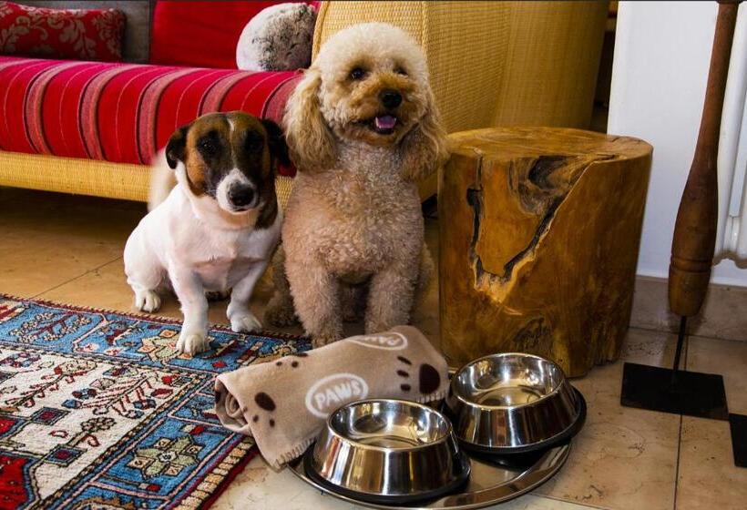 基本间, Paradise Hotel & Wellness