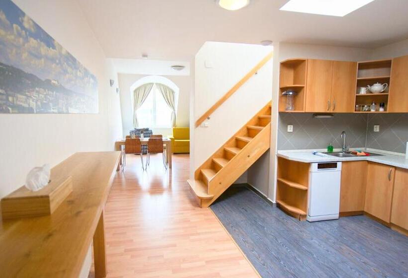 דירת חדר עם טרסה, Jacob Brno