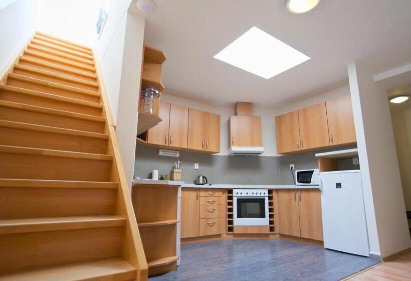 דירת חדר עם טרסה, Jacob Brno