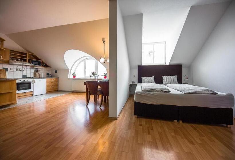 חדר סטודיו סטנדרד, Jacob Brno