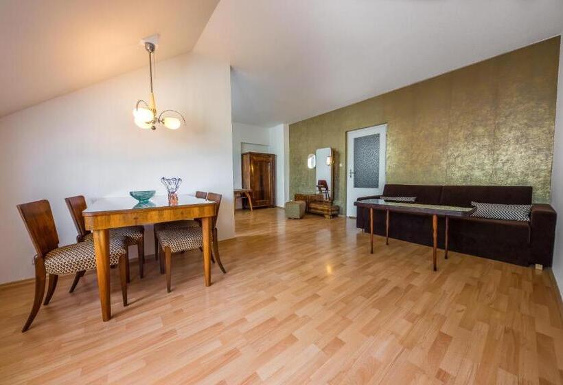 חדר סטודיו סטנדרד, Jacob Brno