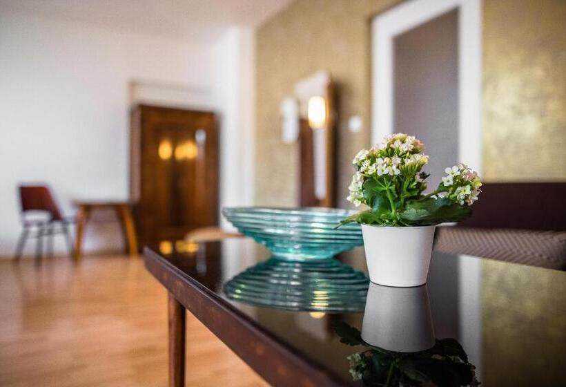 חדר סטודיו סטנדרד, Jacob Brno