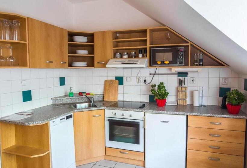 חדר סטודיו סטנדרד, Jacob Brno