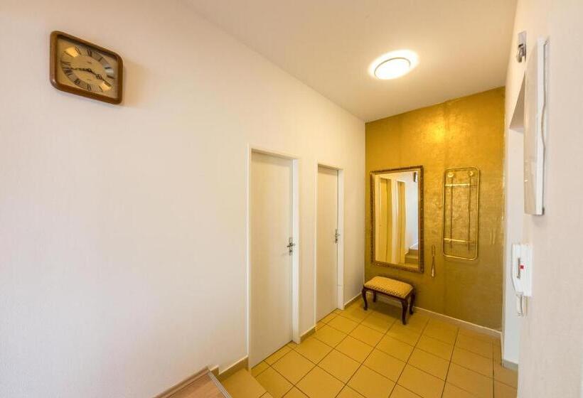 חדר סטודיו סטנדרד, Jacob Brno