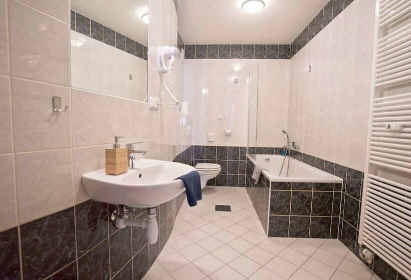 דירת חדר עם טרסה, Jacob Brno