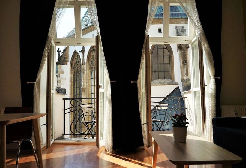 דירת חדר עם טרסה, Jacob Brno