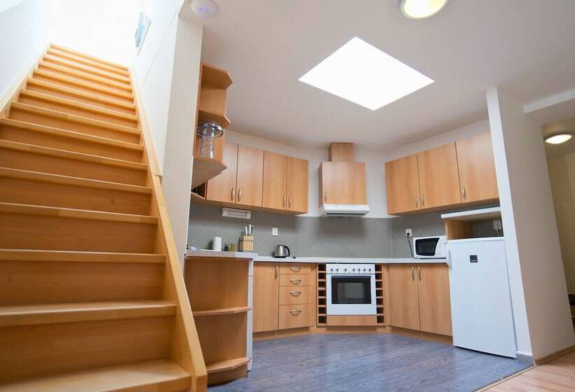 דירת חדר עם טרסה, Jacob Brno