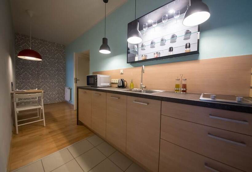 דירת חדר שינה 1 עם נוף לעיר, Jacob Brno