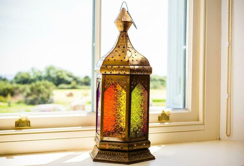 スタンダードルーム, Fig Tree House