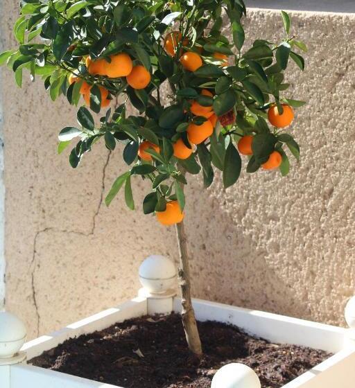 Номер Стандарт Вид на Реку, Au Marais