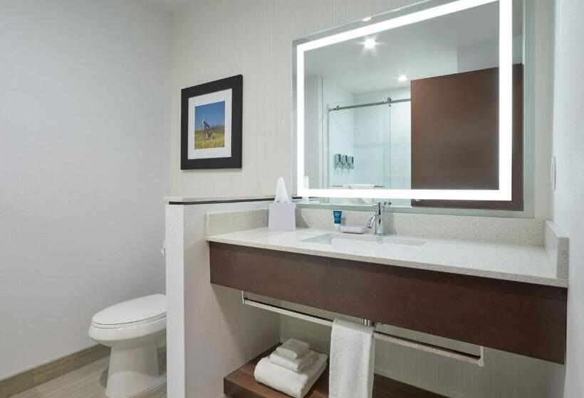 스탠다드 룸 킹사이즈 침대, Four Points By Sheraton Sherwood Park