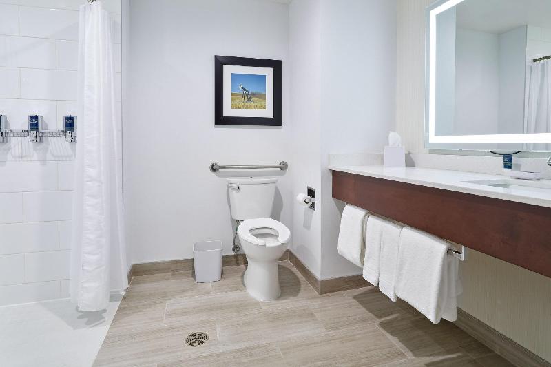 스탠다드 룸 킹사이즈 침대, Four Points By Sheraton Sherwood Park