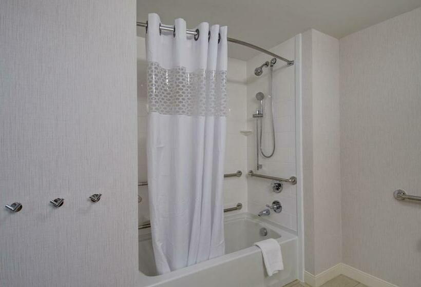 غرفة قياسية سرير كينج لذوى الإحتياجات الخاصة, Hampton Inn Boston  Westborough