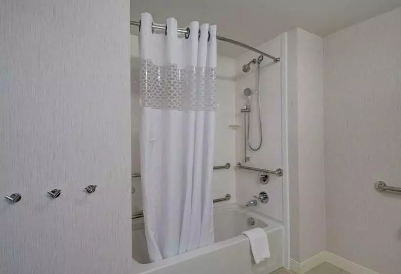 身障者適用キングサイズベッドルーム, Hampton Inn Boston  Westborough